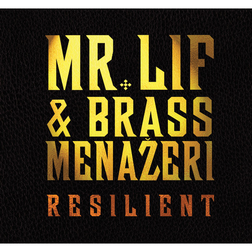 Resilient (Explicit)