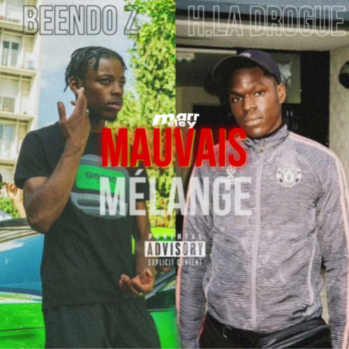 MAUVAIS MÉLANGE (Explicit)
