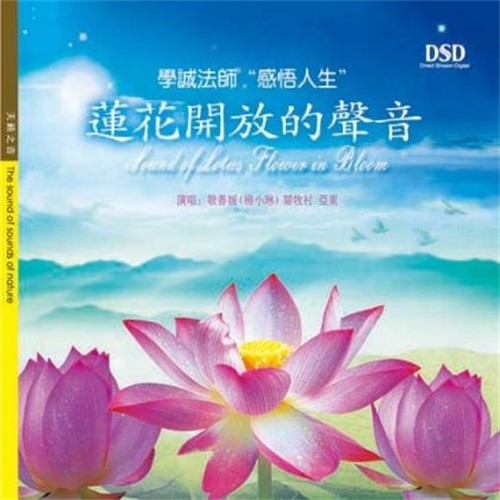莲花开放的声音