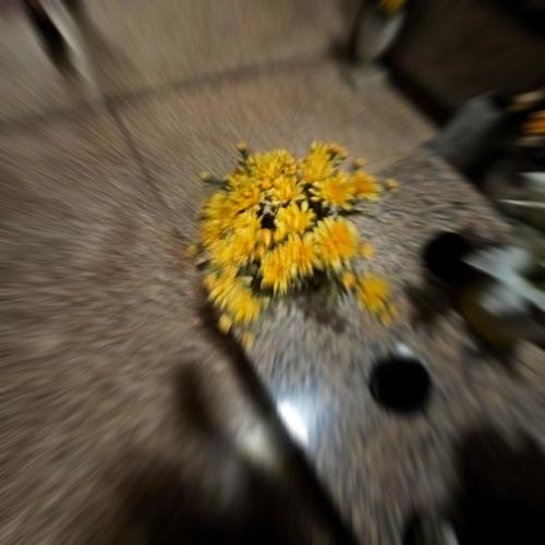 da dah (feat. cxltmoon & yunny goldz)