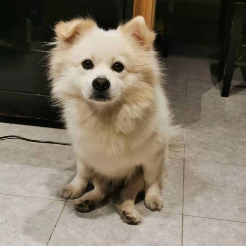 记忆中的钢琴曲