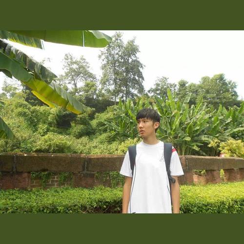 失眠（Insomnia）