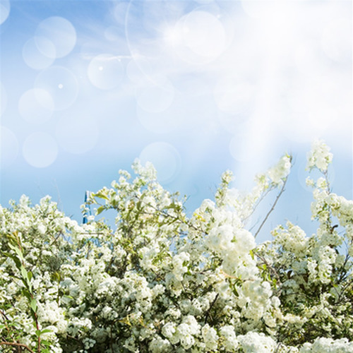 第一册 新兵集结号