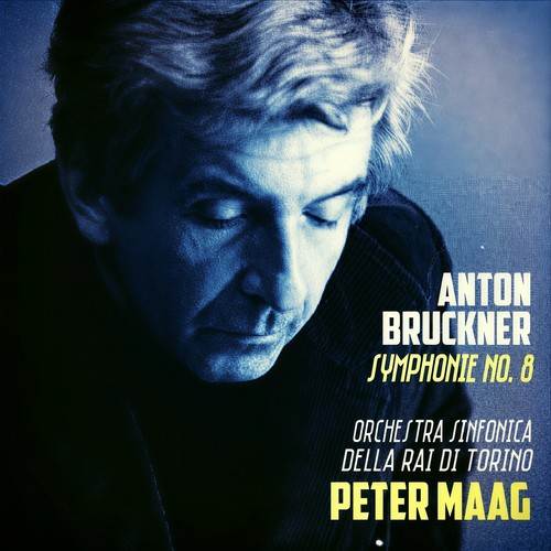 Bruckner: Symphonie No. 8 (布鲁克纳：第八交响曲)