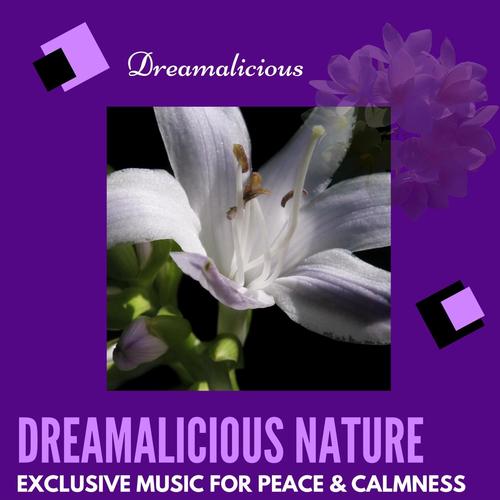 Dreamalicious Nature - Exclusive Music For Peace & Calmness