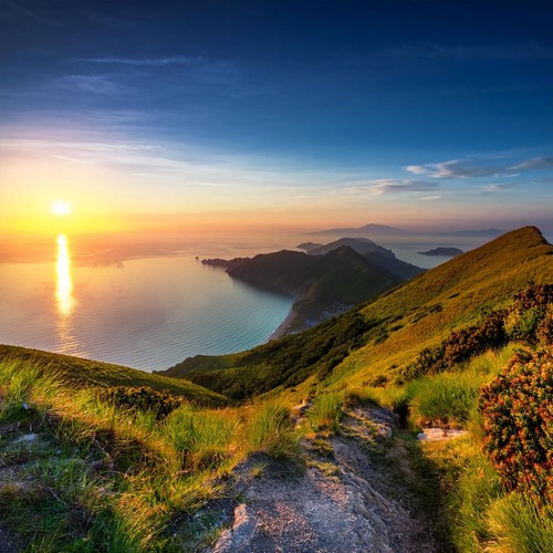 Orquesta Sinfónica: Melodías De Unidad