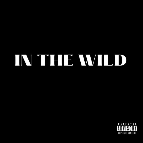 IN THE WILD (Explicit)