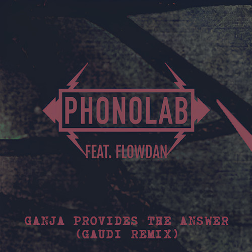 Ganja Provides the Answer (Gaudi Remix)