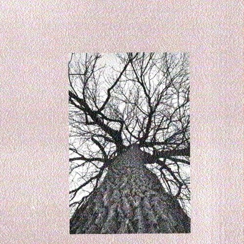 Take my time (Explicit)