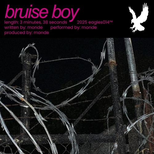 bruise boy (Explicit)