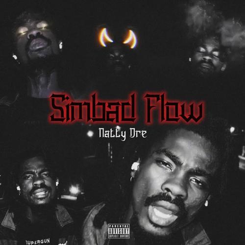 Simbad flow (Explicit)