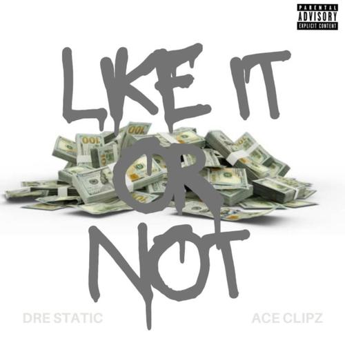 Like It Or Not (feat. Ace Clipz) [Explicit]