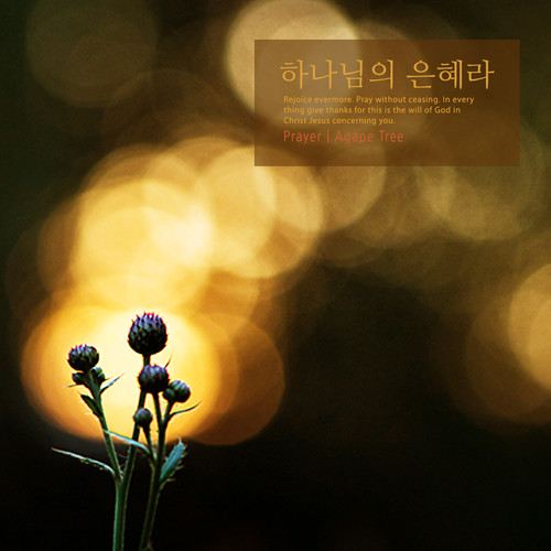 하나님의 은혜라 (Grace of God.)