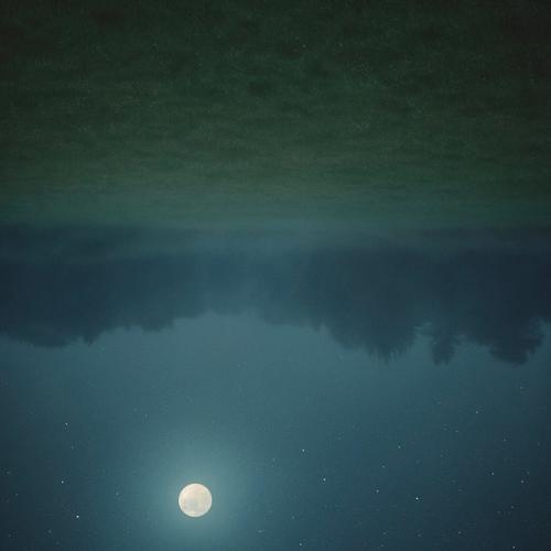 we dont need the moon