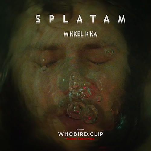 SPLATAM (Explicit)