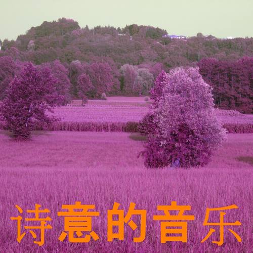 诗意的音乐 (Explicit)