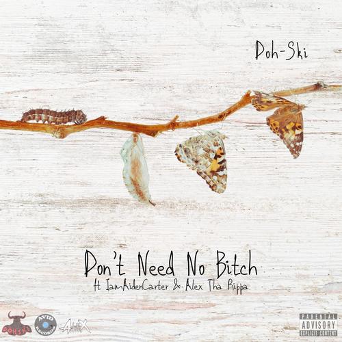 Don't Need No ***** (feat. IamAidenCarter & Alex Tha Rippa) [Explicit]