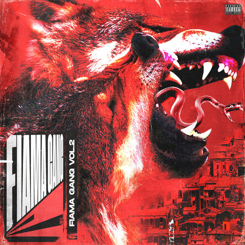 Fiama Gang Vol. 2 (Explicit)