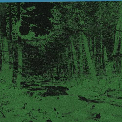 Crickets for Meditation