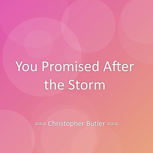 You Promised After the Storm