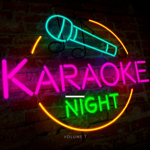 Karaoke Night, Vol. 7