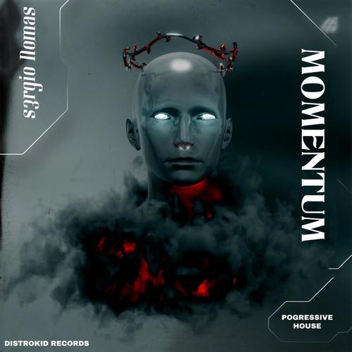 Momentum