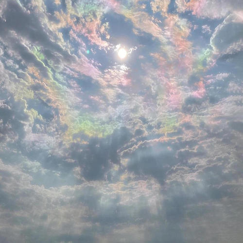 Can't Let You Go (Explicit)