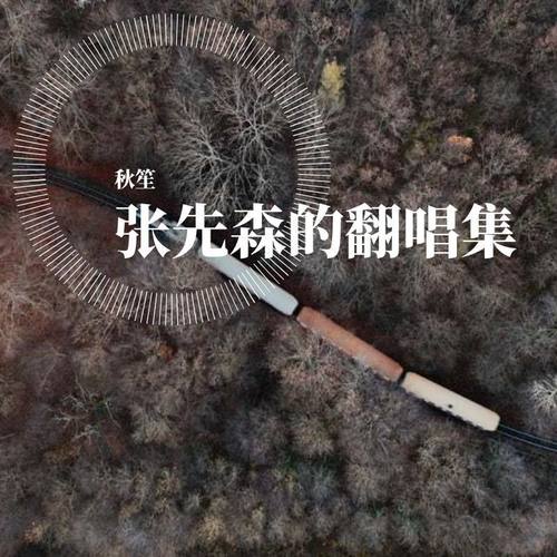 张先森的翻唱集