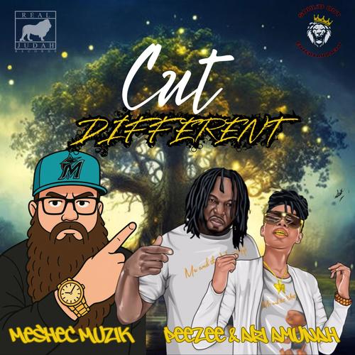 Cut Different (feat. Peezee & Ari Amunah)