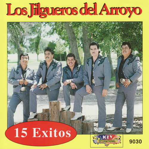 15 Exitos