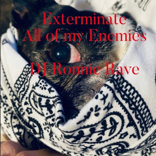 Exterminate All of My Enemies