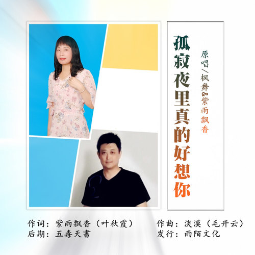 孤寂夜里真的好想你（对唱版）