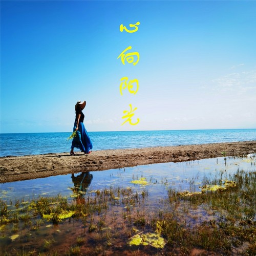 心向阳光