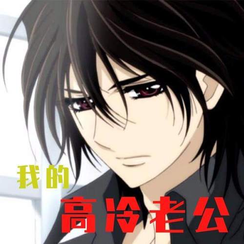 我的高冷老公