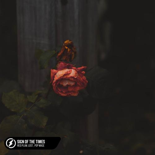 Sign Of The Times (Acoustic)