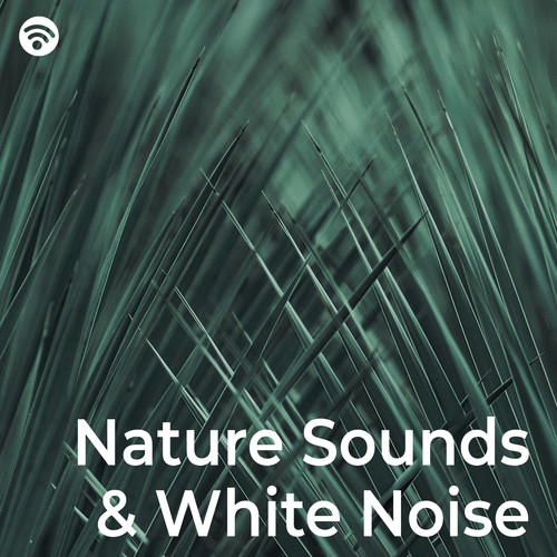 Nature Sounds & White Noise