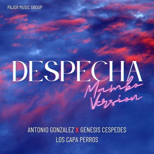 Despechá (Mambo Version)
