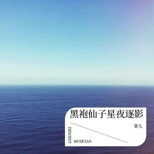 黑袍仙子星夜逐影