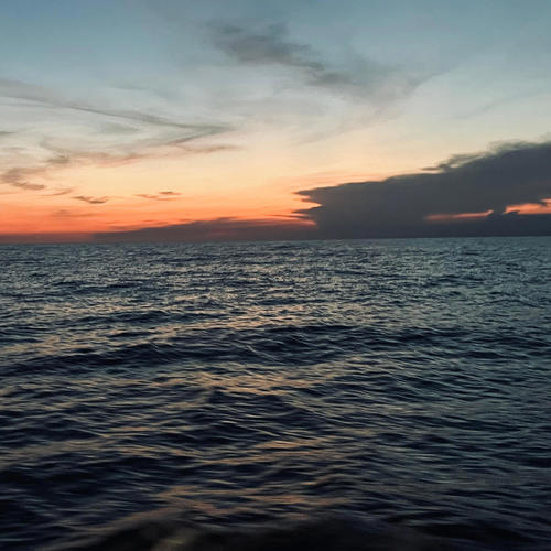 What's Wrong? (feat. sofia marietta)