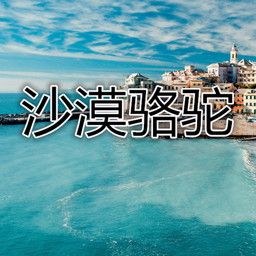 沙漠骆驼