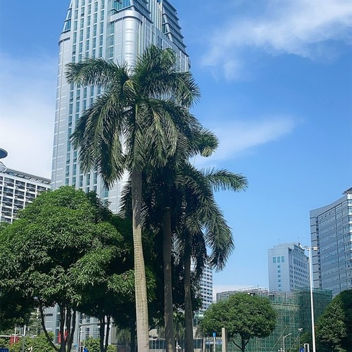 让爱飘进梦乡 (对唱动感版 )