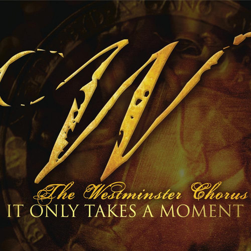 It Only Takes A Moment (只是瞬间)