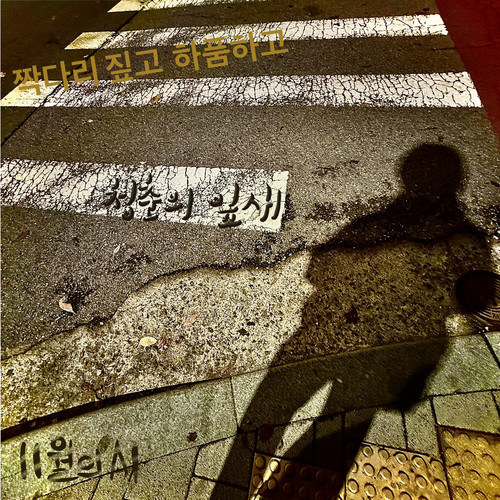 11월의 시 (Poem of the November)