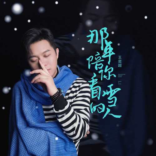 那年陪你看雪的人