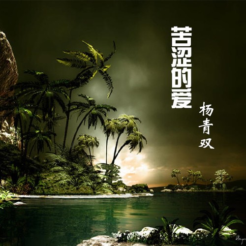苦涩的爱  - 杨青双