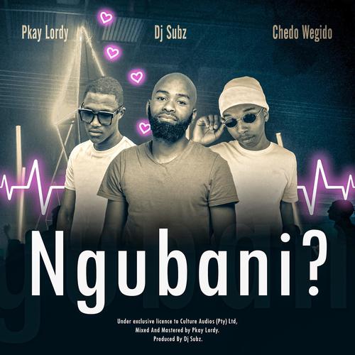 Ngubani? (feat. Dj Subz, Chedo Wegido & Pkay Lordy)