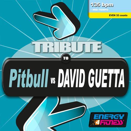 TRIBUTE TO PITBULL VS DAVID GUETTA