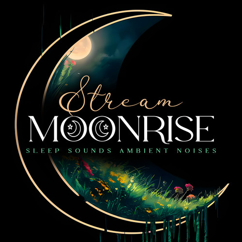 Stream Moonrise