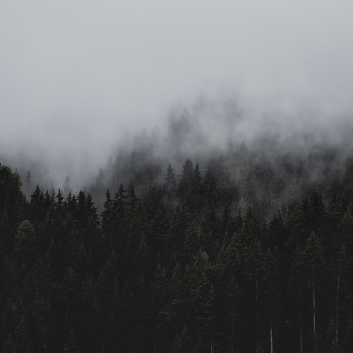 Zen Meditation Therapy