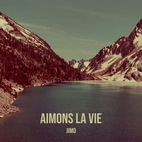 AIMONS LA VIE